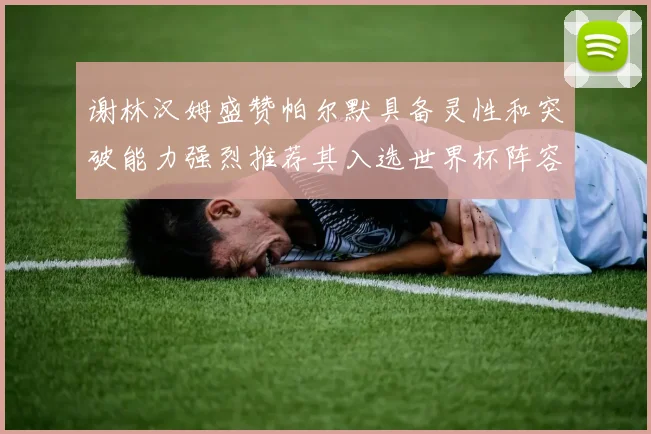 谢林汉姆盛赞帕尔默具备灵性和突破能力强烈推荐其入选世界杯阵容