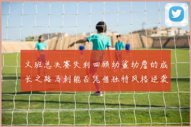 文班总决赛失利回顾幼鲨幼詹的成长之路马刺能否凭借独特风格逆袭成功